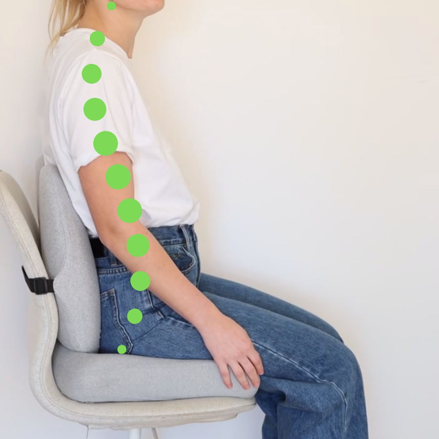 Zero Ergonomic Seat Cushion